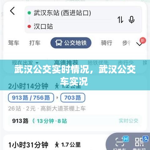 武汉公交实时情况，武汉公交车实况 