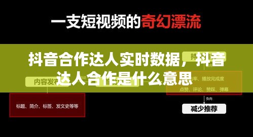 抖音合作达人实时数据，抖音达人合作是什么意思 