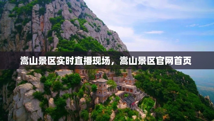 焚膏继晷 第3页