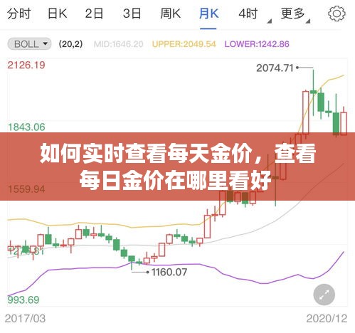 如何实时查看每天金价，查看每日金价在哪里看好 