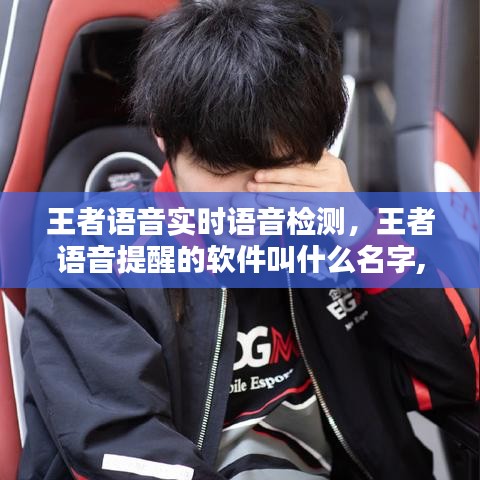 王者语音实时语音检测，王者语音提醒的软件叫什么名字,就是帮你看局势? 
