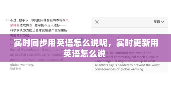 实时同步用英语怎么说呢，实时更新用英语怎么说 