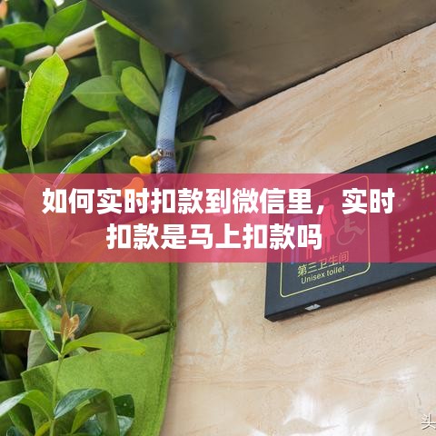 如何实时扣款到微信里，实时扣款是马上扣款吗 