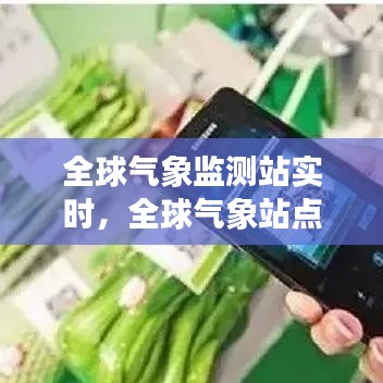 全球气象监测站实时，全球气象站点数据 