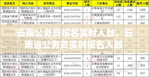 云南公务员报名实时人数，云南省公务员实时报名人数 