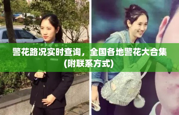 警花路况实时查询，全国各地警花大合集(附联系方式) 