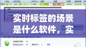 实时标签的场景是什么软件，实时标签查询 