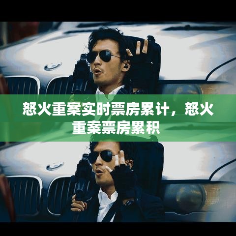 怒火重案实时票房累计，怒火重案票房累积 