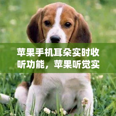 苹果手机耳朵实时收听功能，苹果听觉实时收听 