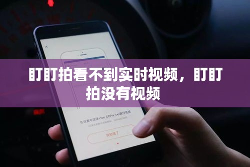 盯盯拍看不到实时视频，盯盯拍没有视频 