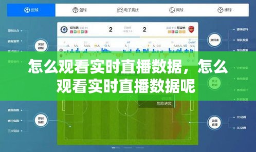 怎么观看实时直播数据，怎么观看实时直播数据呢 
