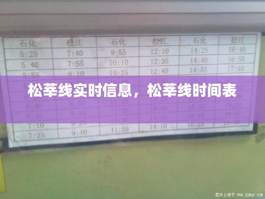 松莘线实时信息，松莘线时间表 