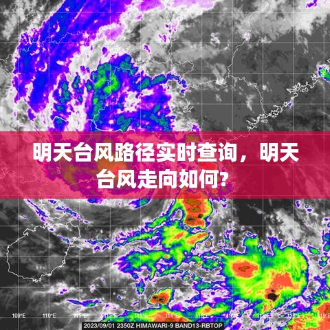 云龙井蛙 第3页