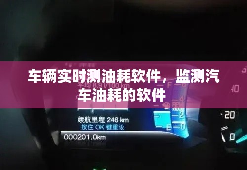 车辆实时测油耗软件，监测汽车油耗的软件 