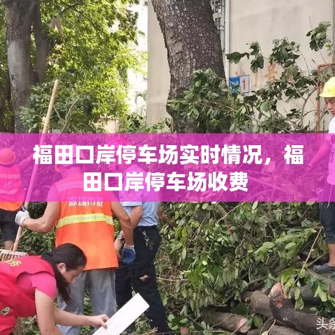 福田口岸停车场实时情况，福田口岸停车场收费 