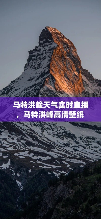 绝无仅有 第4页