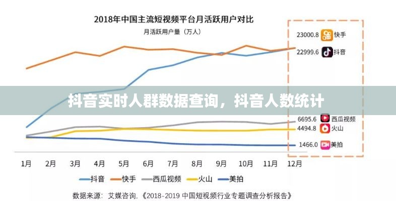 抖音实时人群数据查询，抖音人数统计 