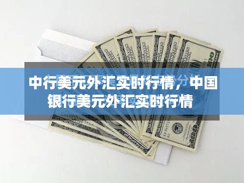 林下风范 第3页