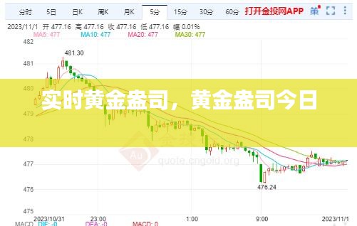 公司介绍 第274页