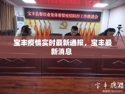 宝丰疫情实时最新通报，宝丰最新消息 