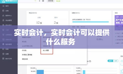 实时会计，实时会计可以提供什么服务 