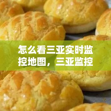 怎么看三亚实时监控地图，三亚监控实况 