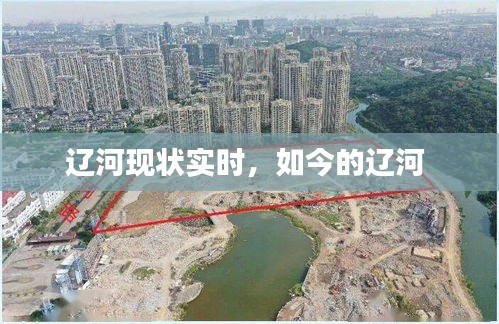 慌慌张张 第3页