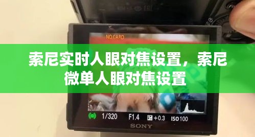 索尼实时人眼对焦设置，索尼微单人眼对焦设置 