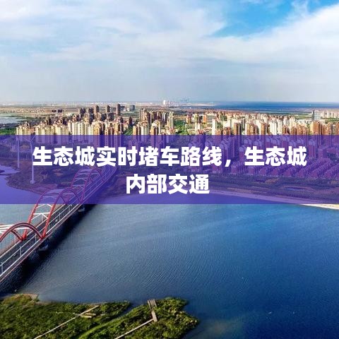 生态城实时堵车路线，生态城内部交通 