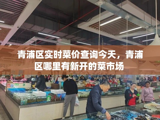 青浦区实时菜价查询今天，青浦区哪里有新开的菜市场 