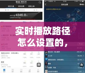 实时播放路径怎么设置的，播放实时数据 