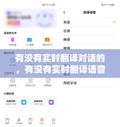 有没有实时翻译对话的，有没有实时翻译语音的软件 