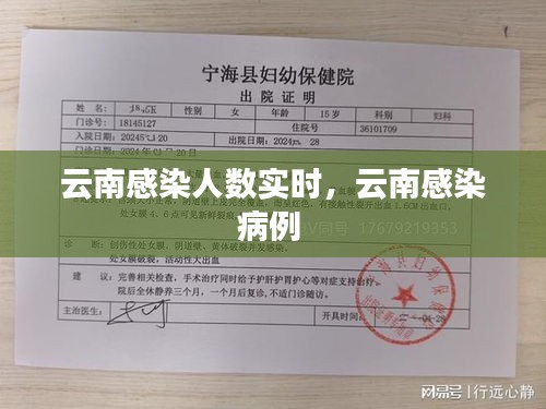 云南感染人数实时，云南感染病例 