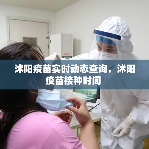 沭阳疫苗实时动态查询，沭阳疫苗接种时间 