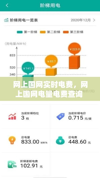 网上国网实时电费，网上国网电量电费查询 
