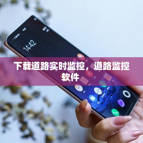 下载道路实时监控，道路监控软件 