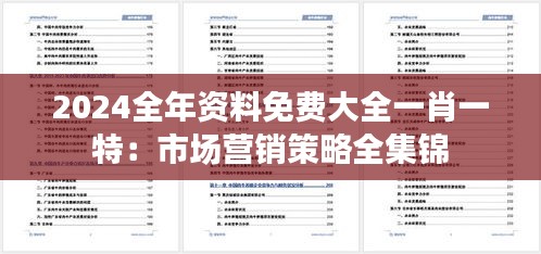 2024全年资料免费大全一肖一特：市场营销策略全集锦