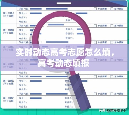 实时动态高考志愿怎么填，高考动态填报 
