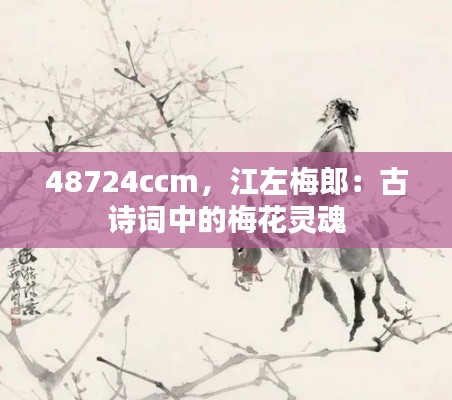 48724ccm，江左梅郎：古诗词中的梅花灵魂