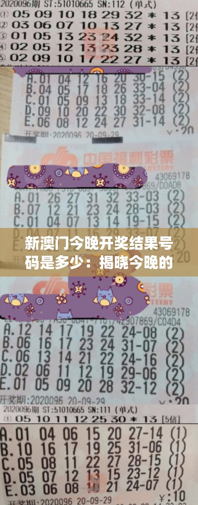 新澳门今晚开奖结果号码是多少：揭晓今晚的幸运密码