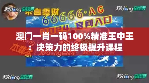 澳门一肖一码100%精准王中王：决策力的终极提升课程