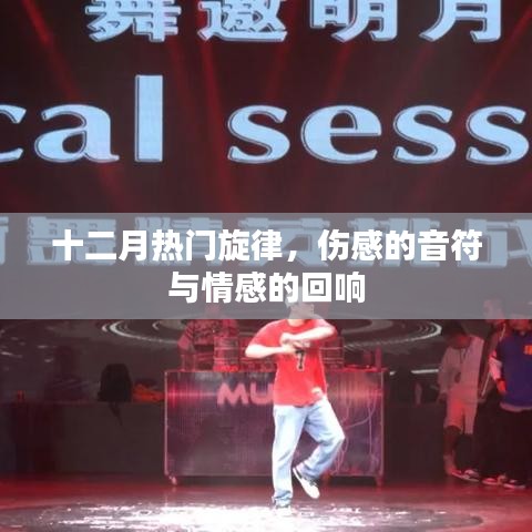 贵不可言 第3页