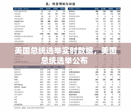 美国总统选举实时数据，美国总统选举公布 