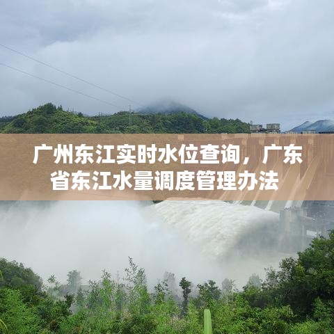 广州东江实时水位查询，广东省东江水量调度管理办法 