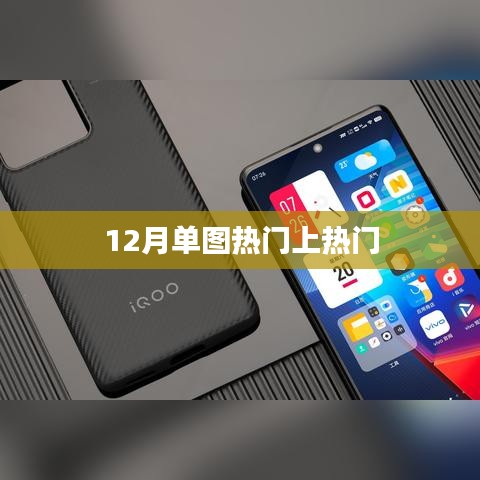 12月单图热门盘点，精选热门美图不容错过