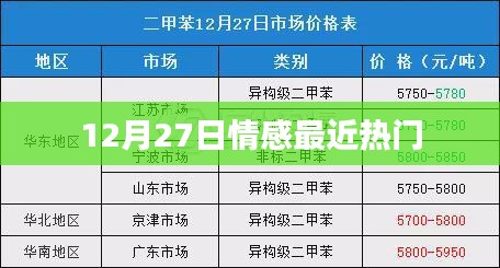 情感热点话题，年末之际的深情回响