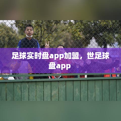 足球实时盘app加盟，世足球盘app 
