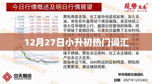 12月27日小升初关键词汇总