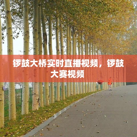 锣鼓大桥实时直播视频，锣鼓大赛视频 
