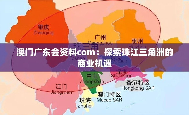 澳门广东会资料com：探索珠江三角洲的商业机遇